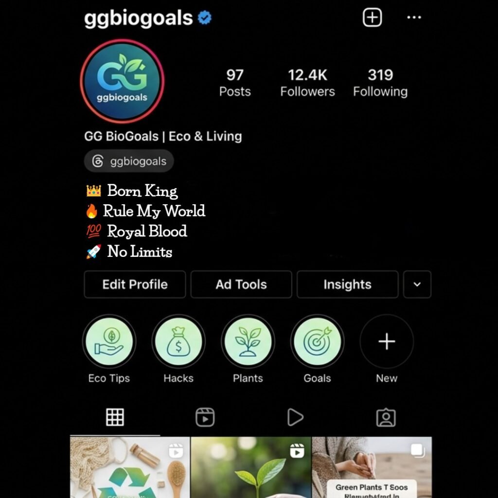 Instagram bio attitude for VIP