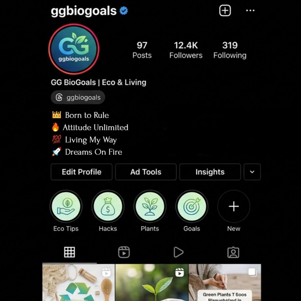 Instagram VIP bio stylish