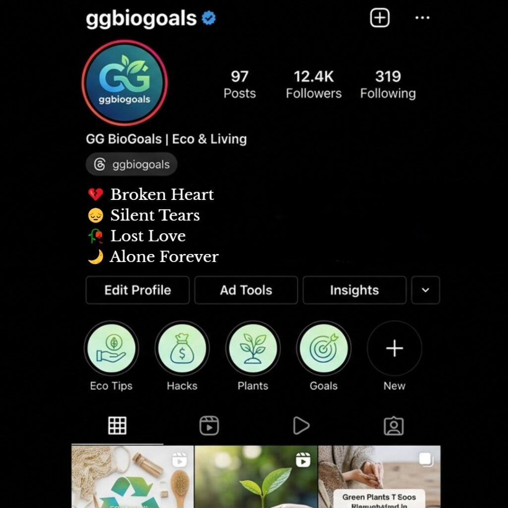 Cool Instagram VIP bio