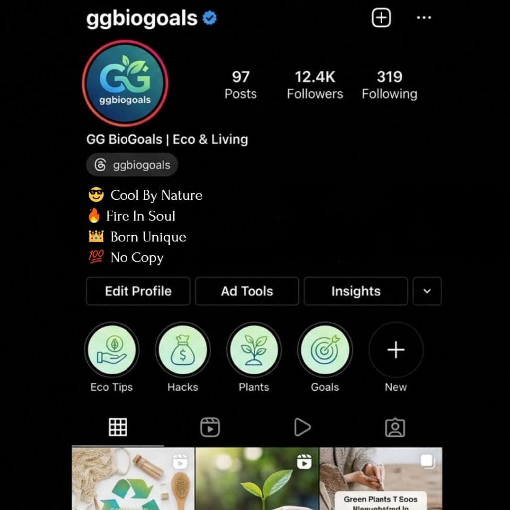 VIP bio for Instagram