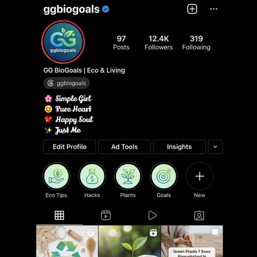 Instagram VIP bio ideas