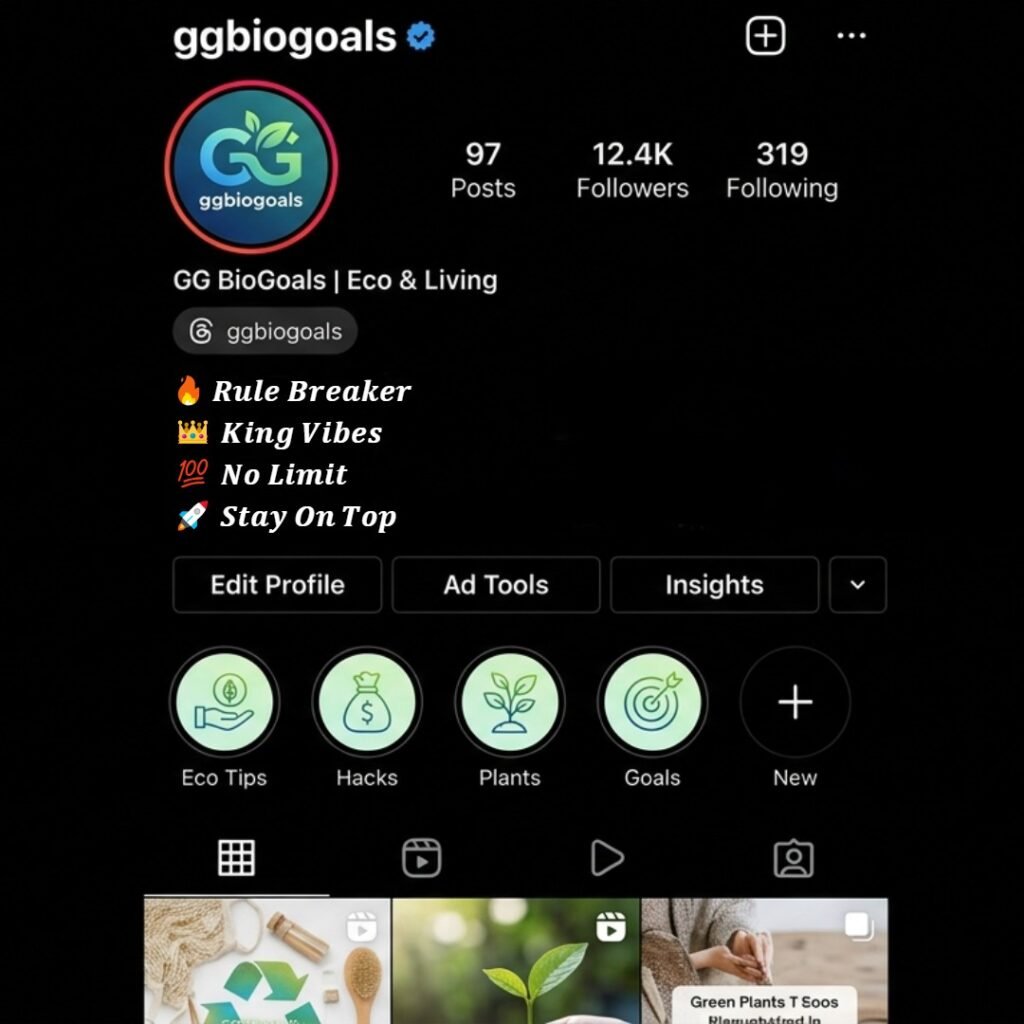 Stylish Instagram bio