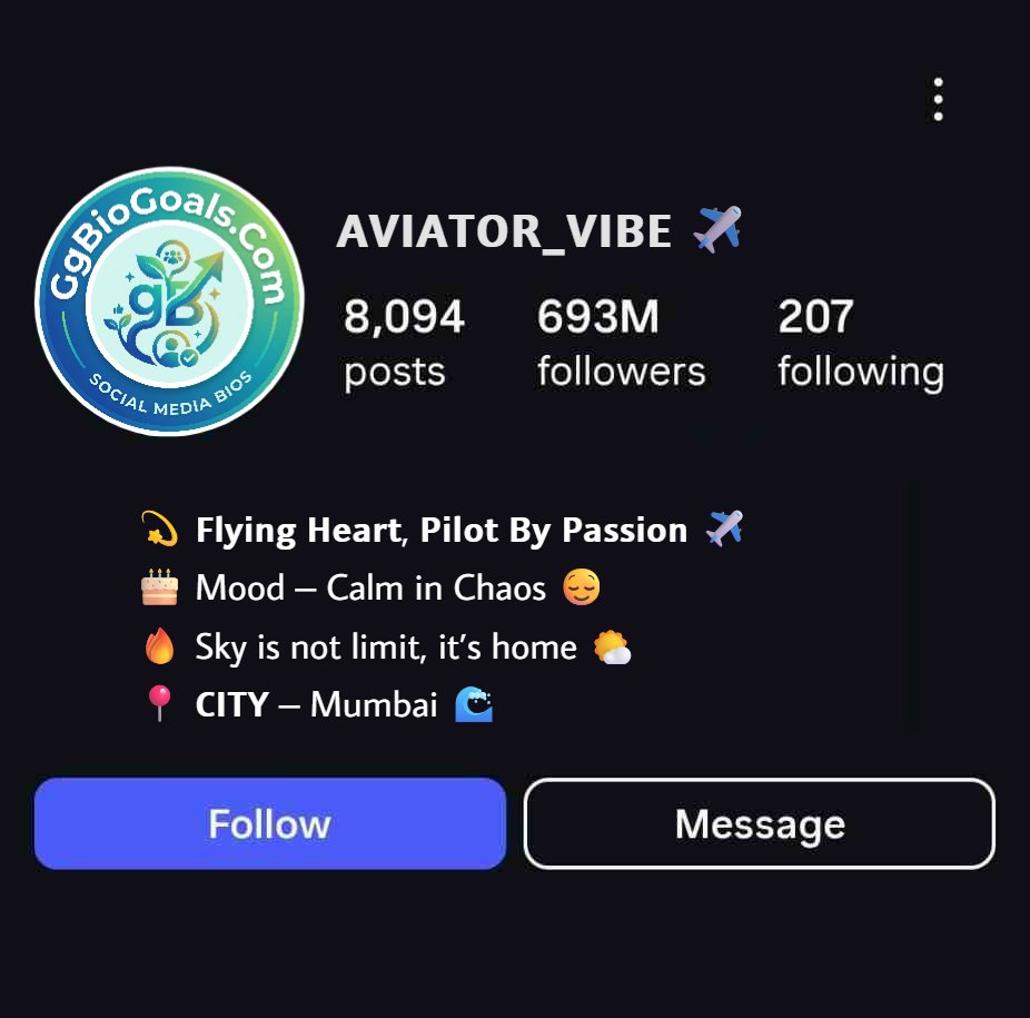 Pilot Bio For Social Media (Instagram & Tinder)