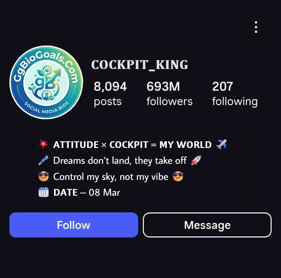 Stylish & Attitude Pilot Instagram Bio Collection