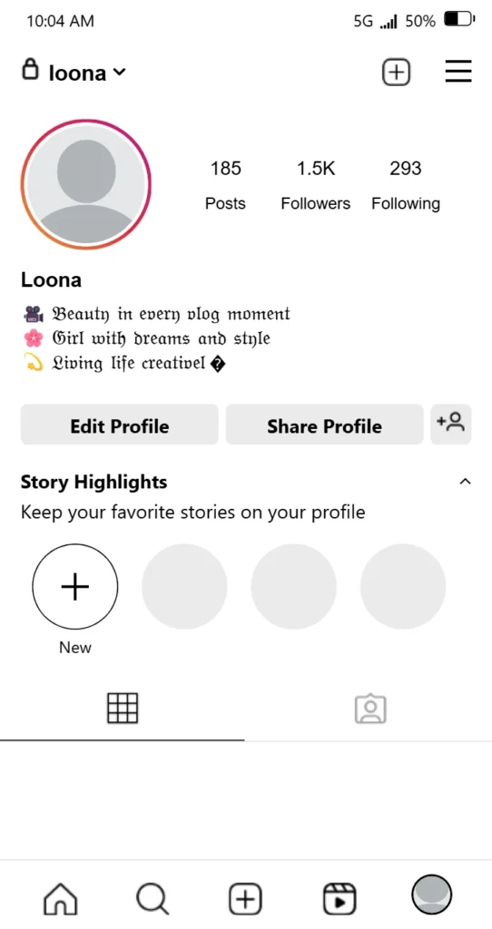 Vlogger Bio For Instagram For Girl