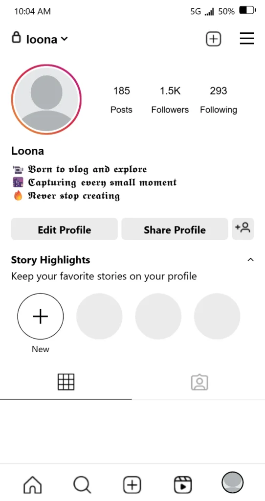 Vlog Bio For Instagram